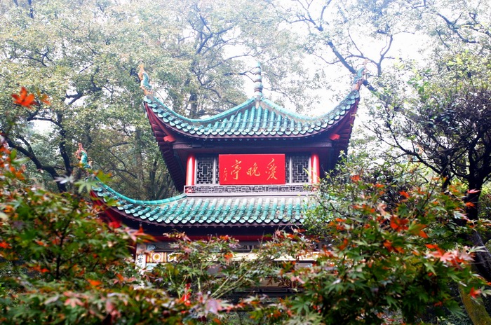 Aiwan Pavilion6