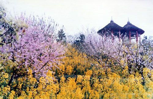 Taohuayuan Scenic Zone11