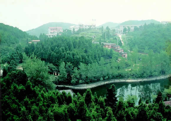 Mountain Meiling Scenic Area2