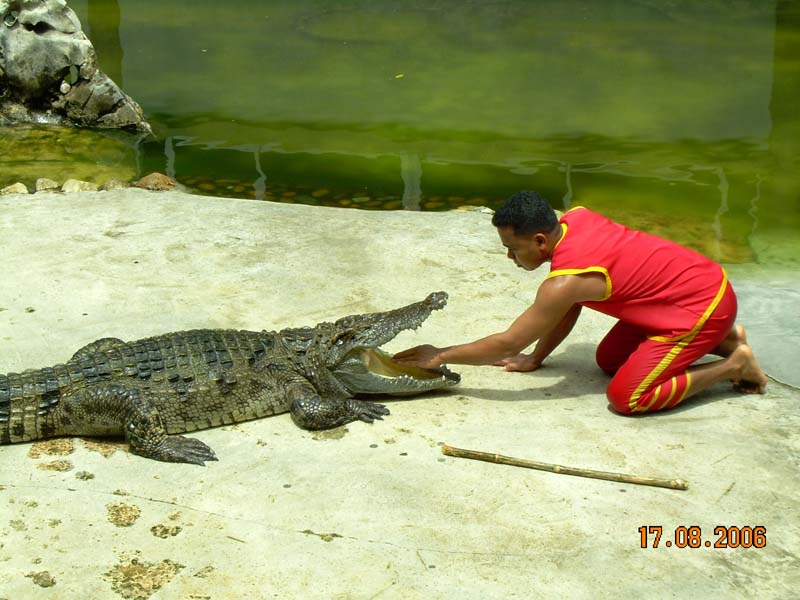 photo of Bangkok