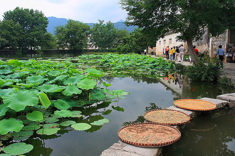 photo of Hongcun Village