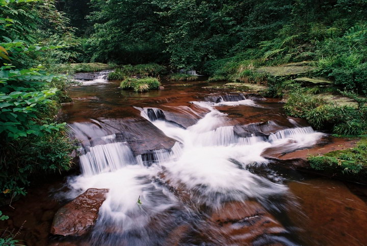 photo of Mountain Tiantai Scenic Area3