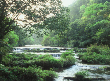 photo of Mountain Tiantai Scenic Area5