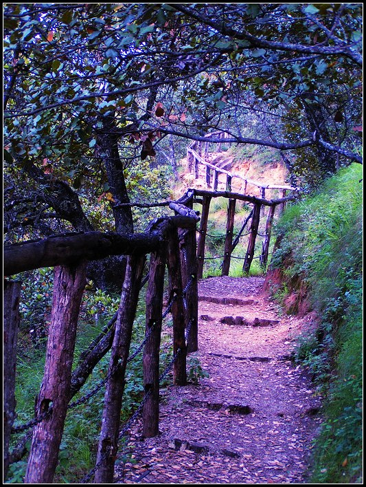 photo of Travel to Lijiang