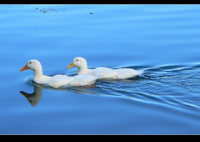 Lugu Lake