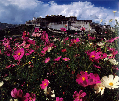 photo of Potala Palace13