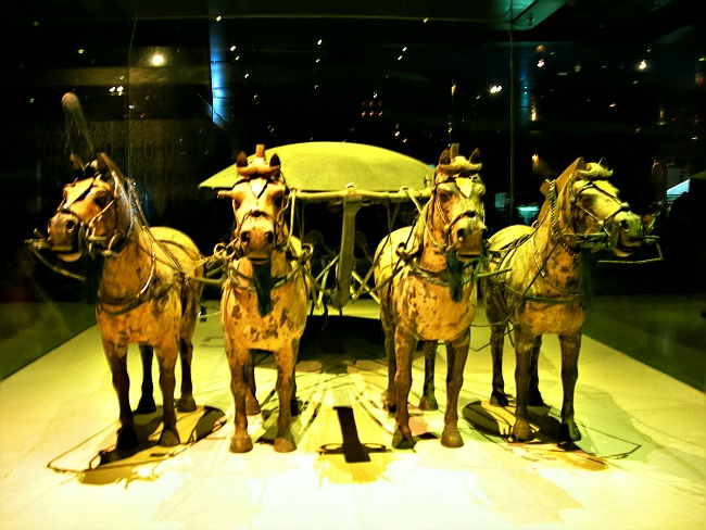 photo of Museum of Qin Terra-cotta Warriors and Horses