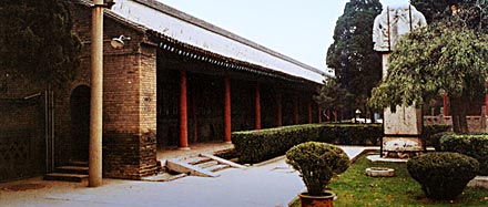 photo of Forest of Stone Steles Museum6