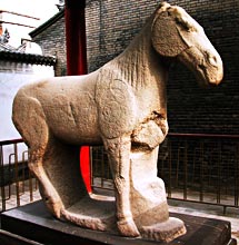 photo of Forest of Stone Steles Museum15