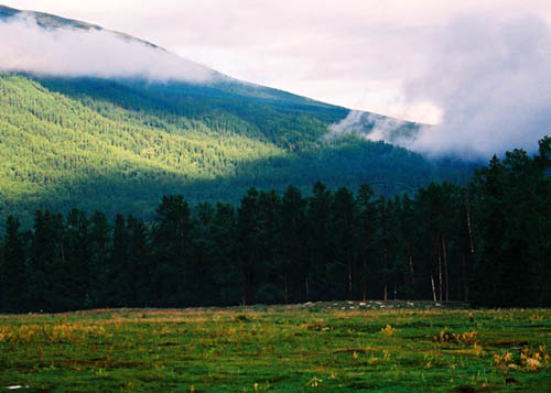 photo of Mountain Nanshan Pasture2