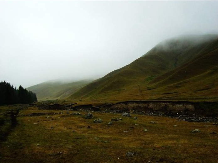 Mountain Nanshan Pasture11