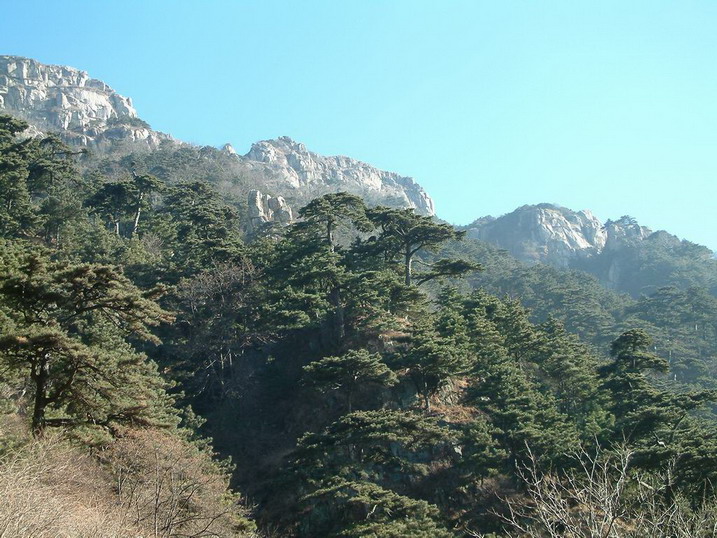 photo of Mountain Taishan2