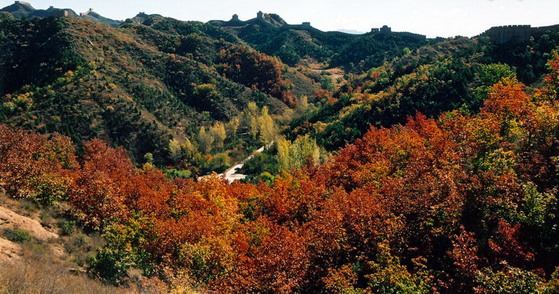 photo of Jinshanling Great Wall2