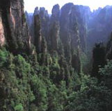 Yangjiajie Nature Reserve1