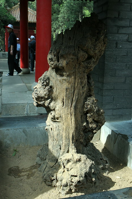 photo of Confucius Cemetery13