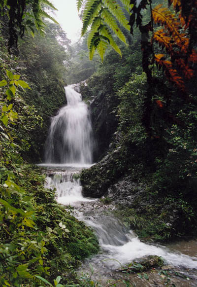 Mountain Emei8