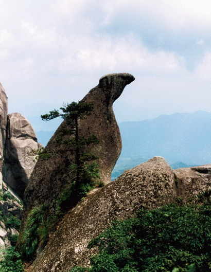 Mountain Tianzhu Scenery Area7