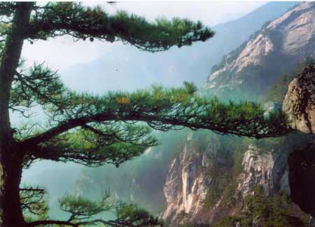 Tiantang Zhai Scenic Area12