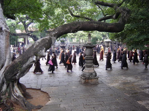 Kaiyuan Temple6