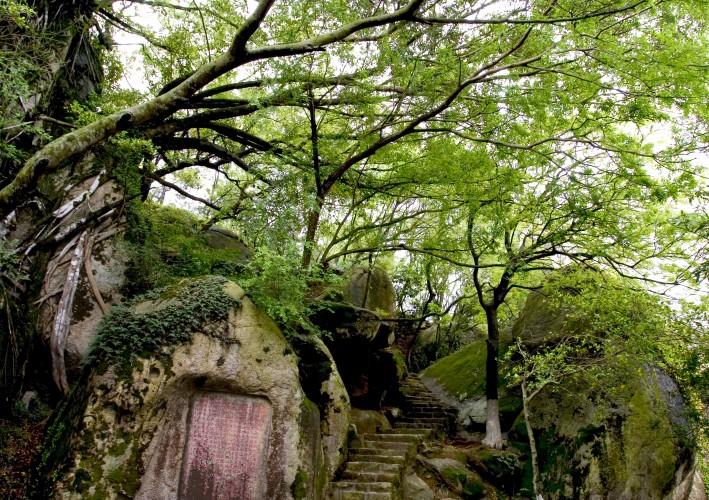 Mountain Qingyuan Scenic Area4