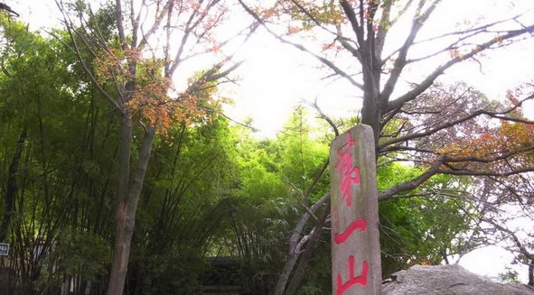 Mountain Qingyuan Scenic Area8