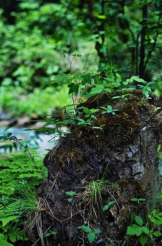 photo of Tulugou State Forest Park6