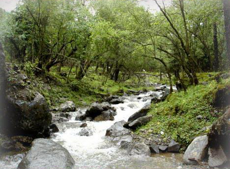 photo of Tulugou State Forest Park16