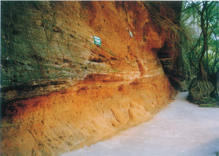 Volcano Lateral Section