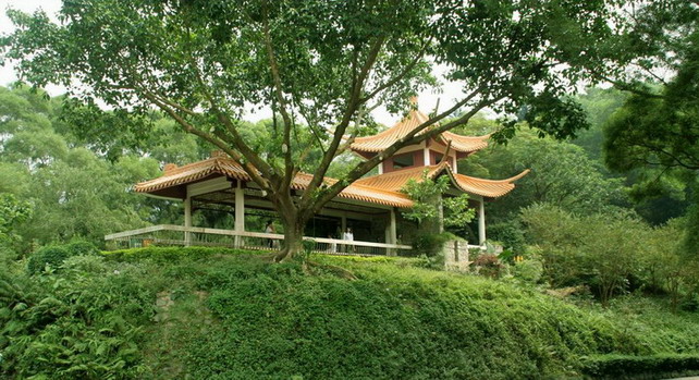 photo of Shenzhen Immortal Lake Botanical Garden8