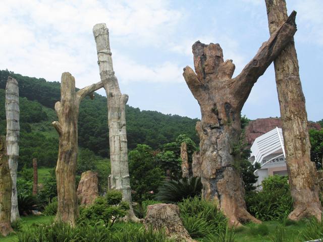 Shenzhen Immortal Lake Botanical Garden10