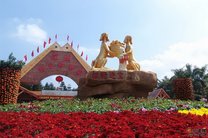 photo of Shenzhen Safari Park1