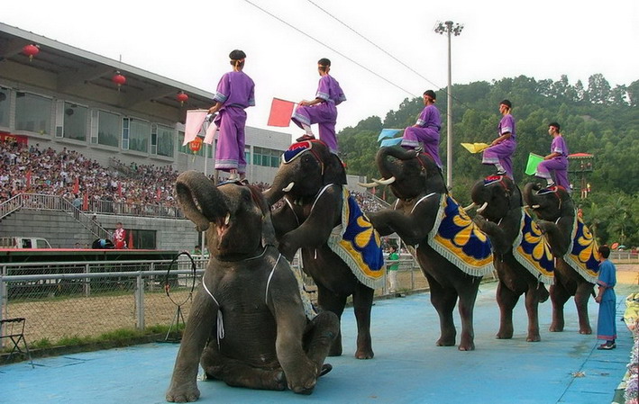 photo of Shenzhen Safari Park3