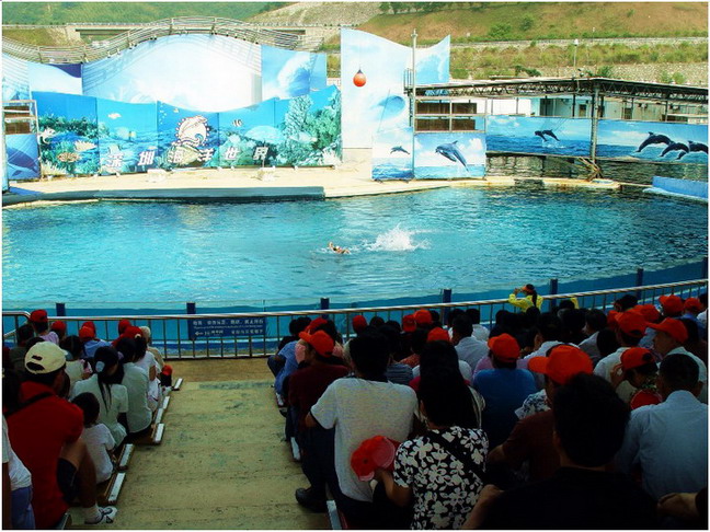 Shenzhen Sea World2