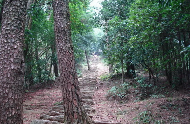 Guiping Mountain Xishan Scenic Area13