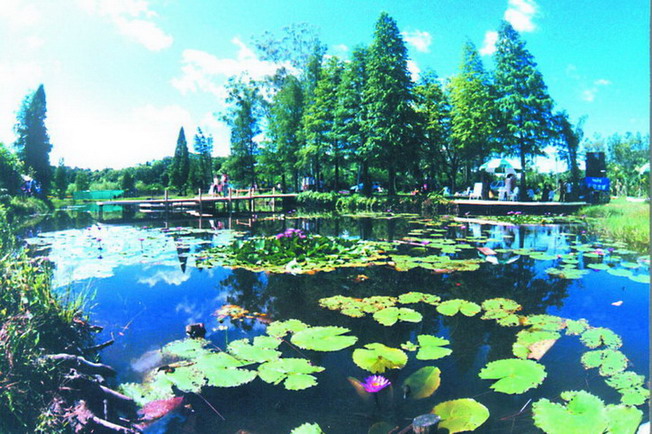 Liangfengjiang National Forest Park1