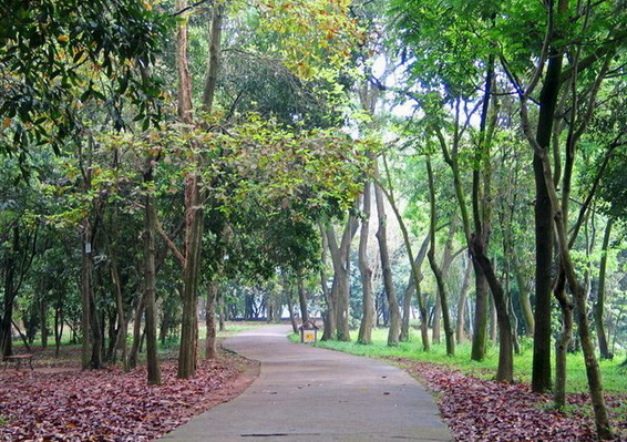 Liangfengjiang National Forest Park8