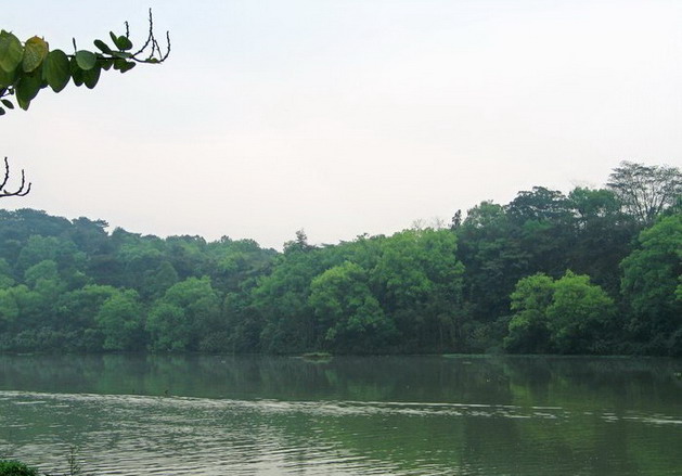 Liangfengjiang National Forest Park13