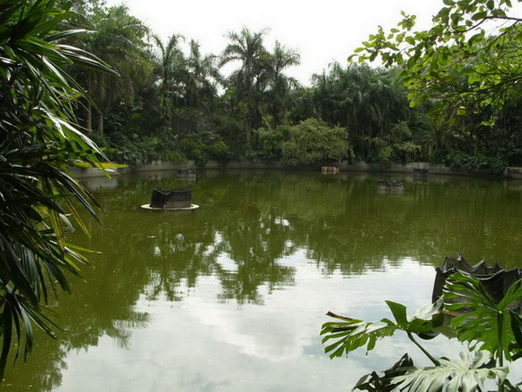 photo of Mountain Qingxiu Scenic Area7