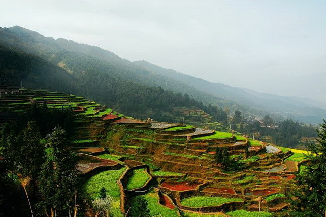 Liping Dong Village Scenic Area15