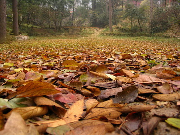 Qianling Park9