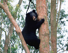 Dongshan Lake Tropical Safari Park15