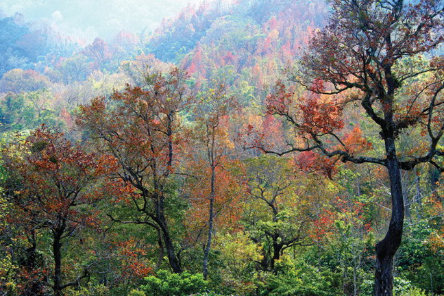 photo of Mountain Five Fingers