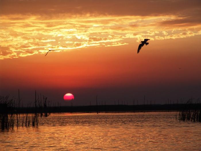 Baiyangdian Lake4