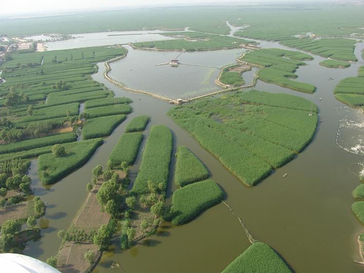 Baiyangdian Lake7