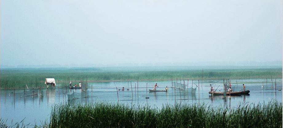 Baiyangdian Lake10