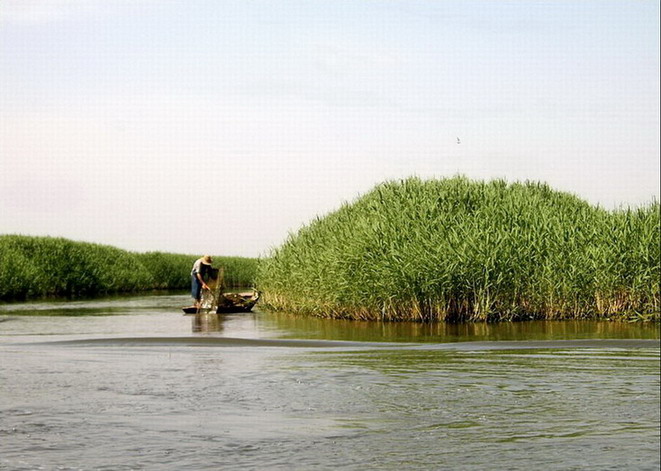 Baiyangdian Lake11