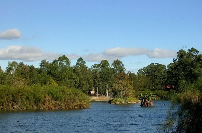 Baiyangdian Lake12