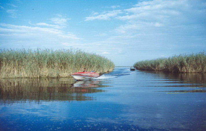 Baiyangdian Lake16