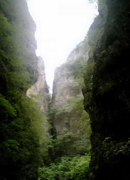 Mountain Langya7