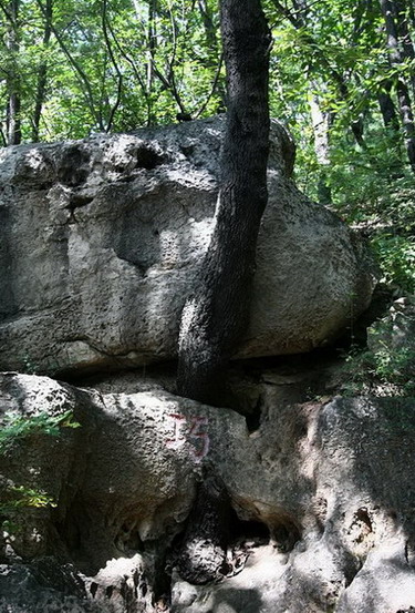 photo of Mountain Tiangui